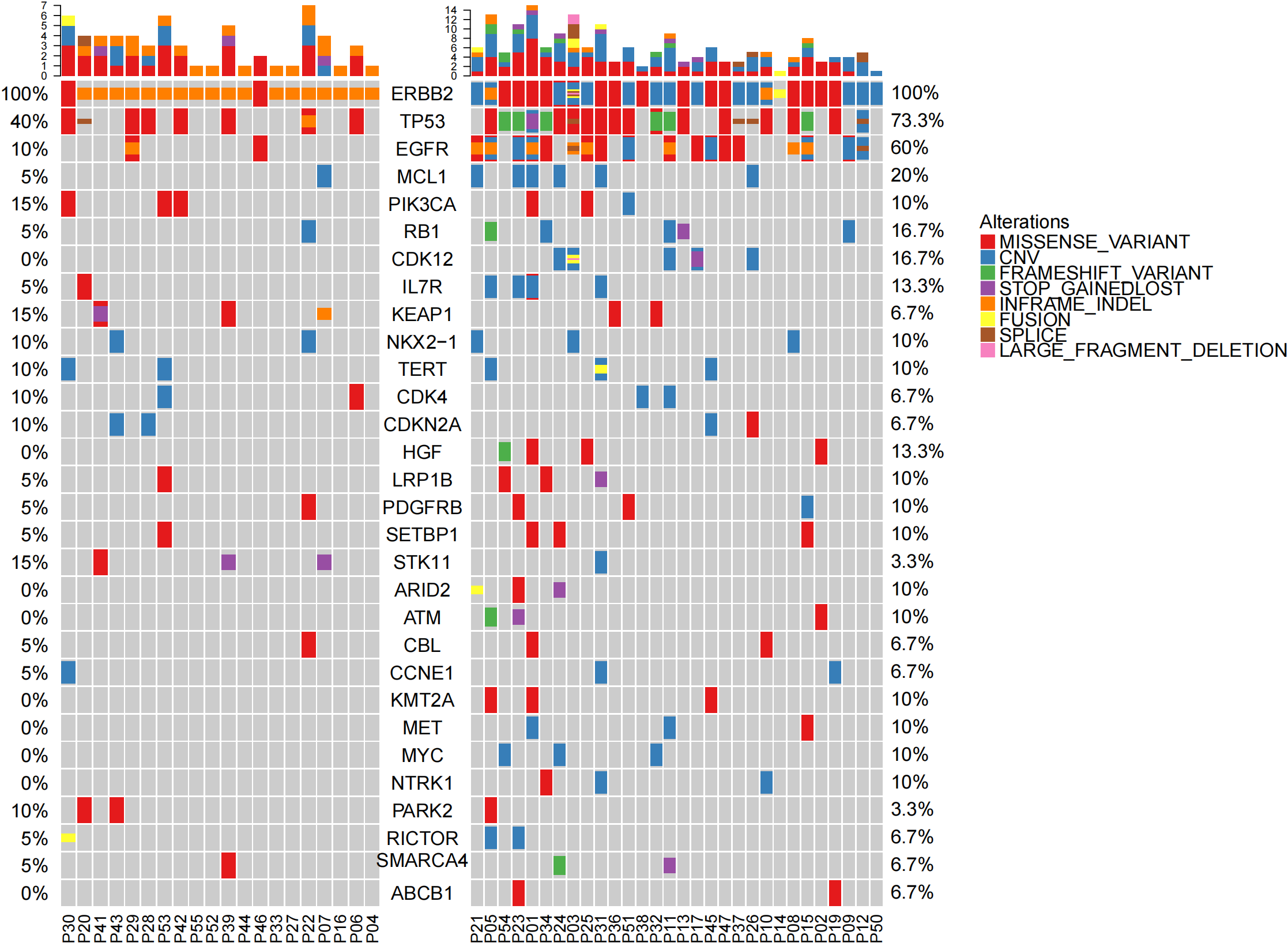 oncoprint-all.genelist-combined_00.png