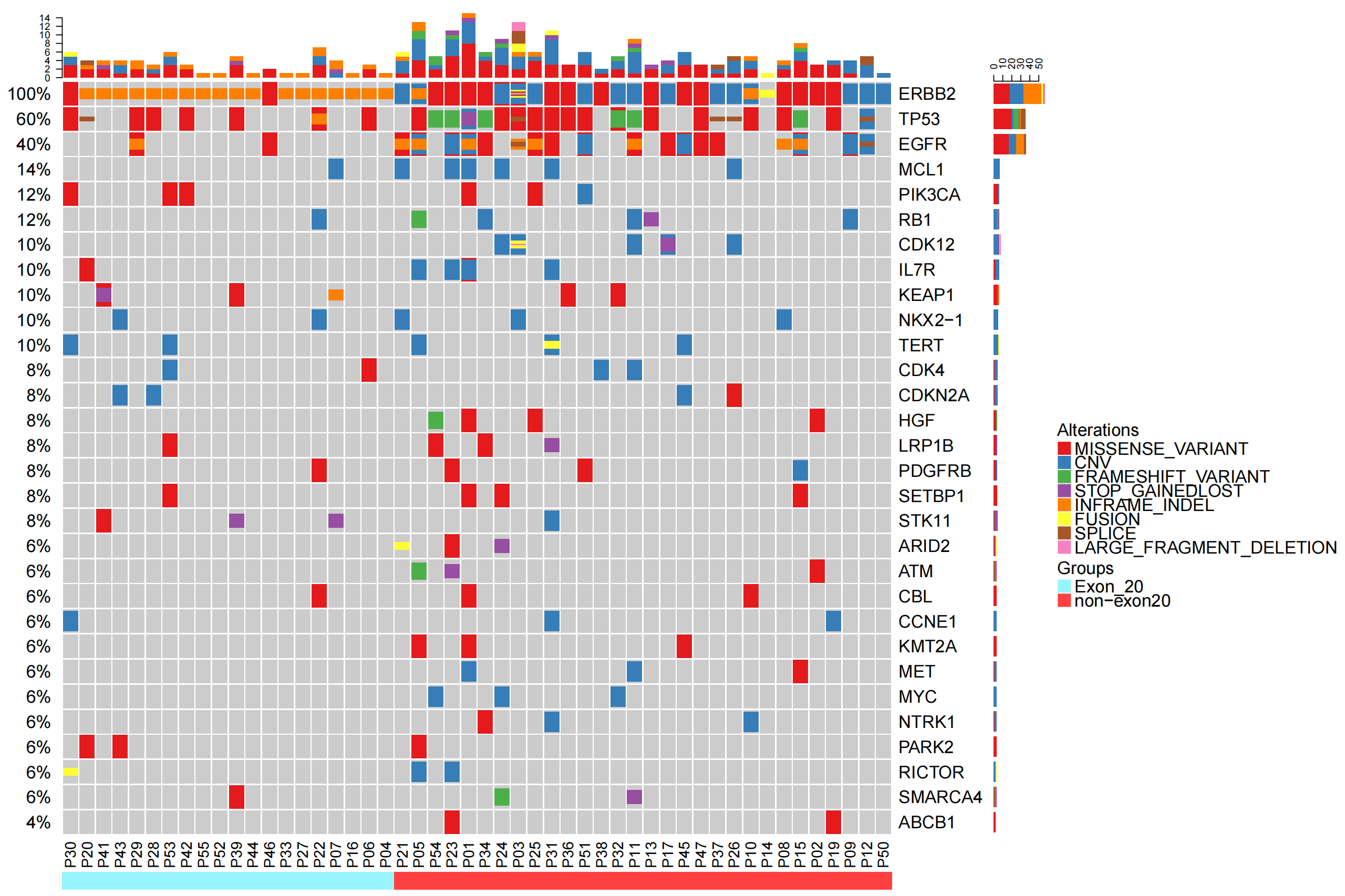 oncoprint-all.top30-all_00.png