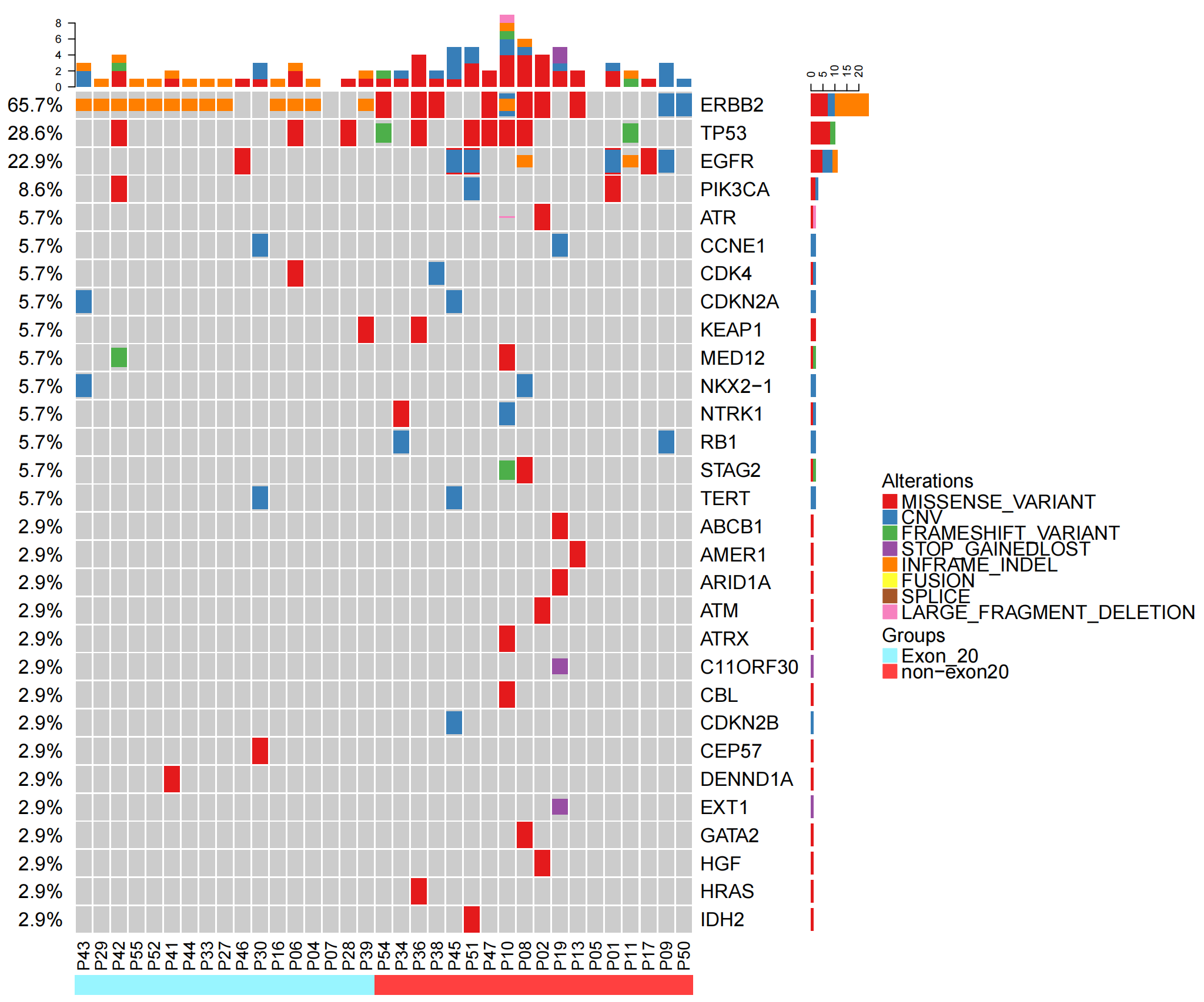 oncoprint-baseline.top30_00.png
